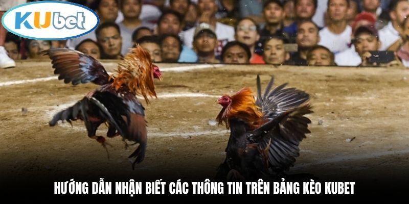 Hướng dẫn nhận biết các thông tin trên bảng kèo Kubet