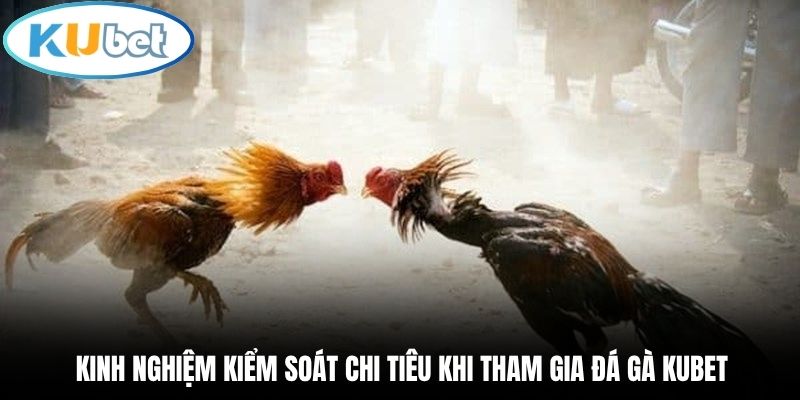 Kinh nghiệm kiểm soát chi tiêu khi tham gia đá gà Kubet
