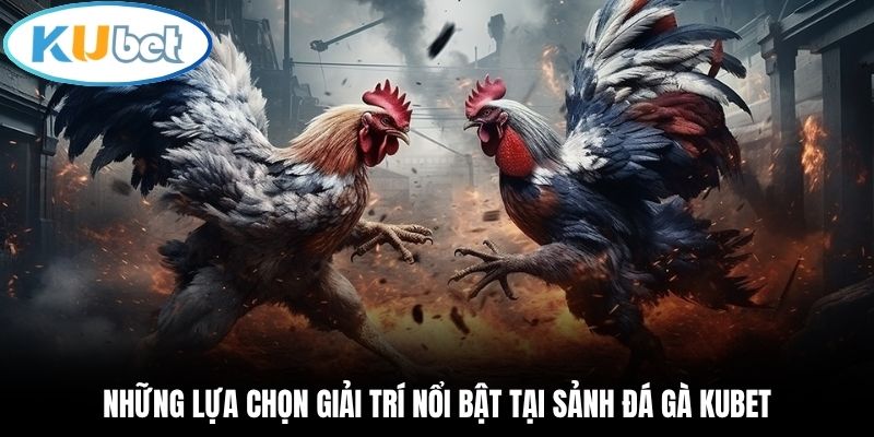Những lựa chọn giải trí nổi bật tại sảnh đá gà Kubet